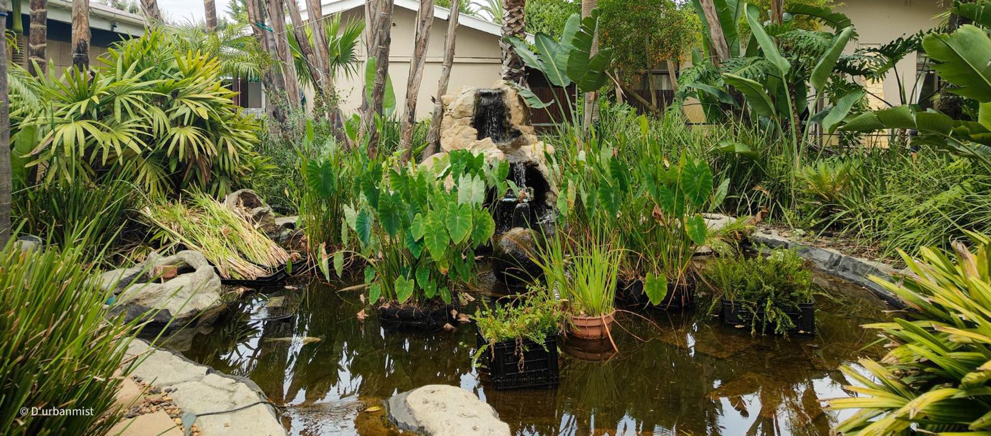 D'Urbanmist Self-Catering Guest House Durbanville Ngoại thất bức ảnh